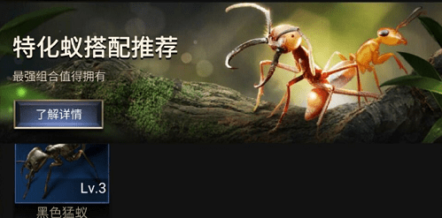 小小蚁国特化蚁怎么搭配-小小蚁国特化蚁最强搭配攻略