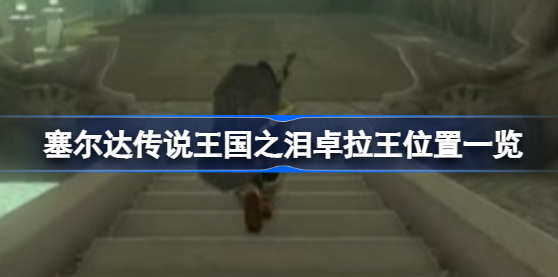 塞尔达传说王国之泪卓拉王在哪里 塞尔达传说王国之泪卓拉王位置攻略