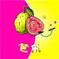 糟老头旧版本手机版在线下载