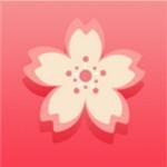 大菠萝福建导航app最新版