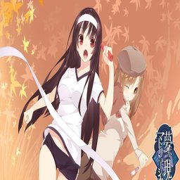 教练你好大轻点练车：驾校趣事与技巧分享