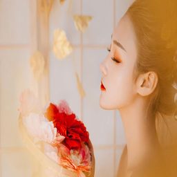 少女免费观看TV片哔哩哔哩：探索二次元文化的新视角