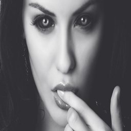 红猫大本营点击在线观看的背后：探索网络影视新趋势