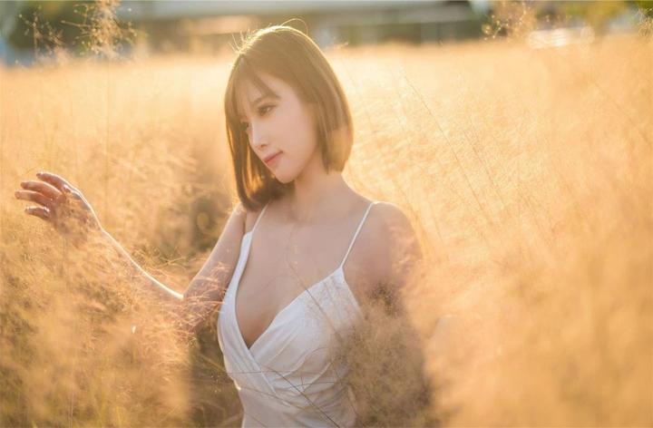 高辣h小说的定义