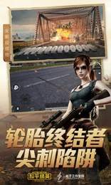 和平精英小黄鸡分享器2