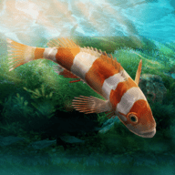 水族馆设计师apk游戏下载