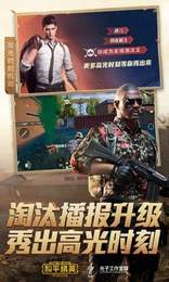 和平精英小黄鸡分享器0